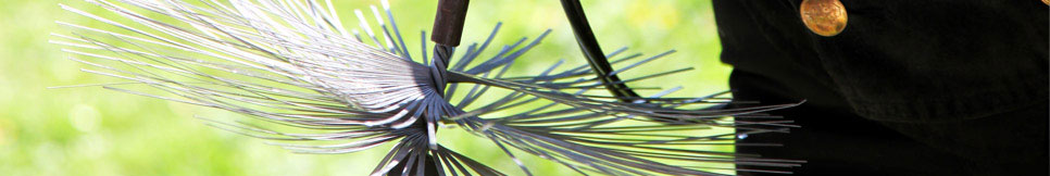 Banner - Ernst Tjards